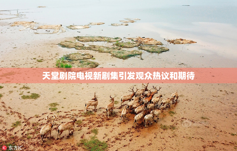 天堂剧院电视新剧集引发观众热议和期待