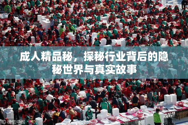成人精品秘，探秘行业背后的隐秘世界与真实故事