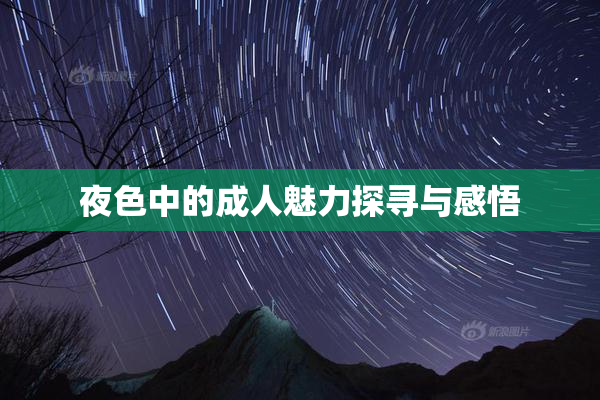 夜色中的成人魅力探寻与感悟