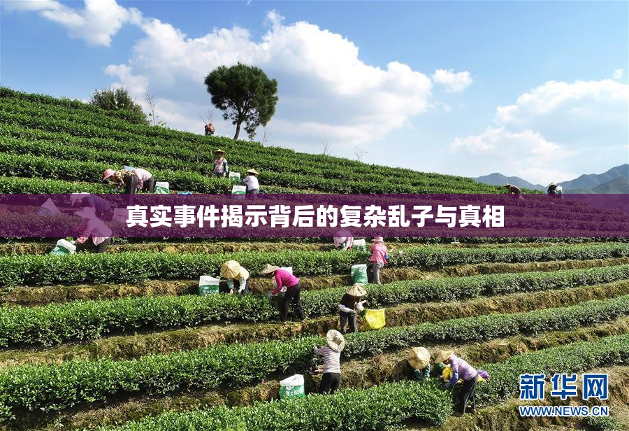 真实事件揭示背后的复杂乱子与真相
