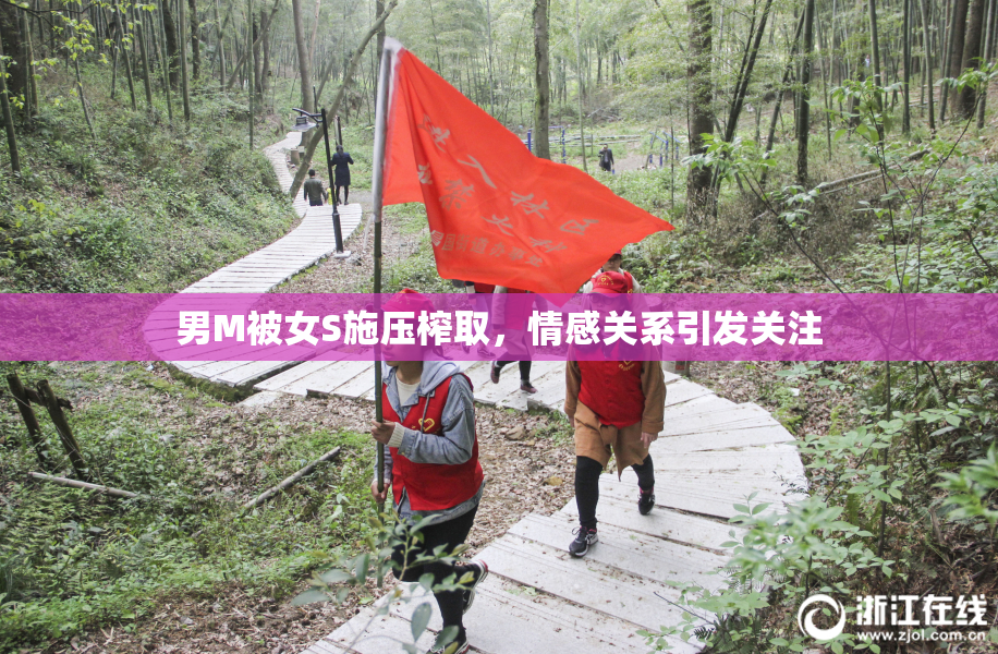 男M被女S施压榨取，情感关系引发关注
