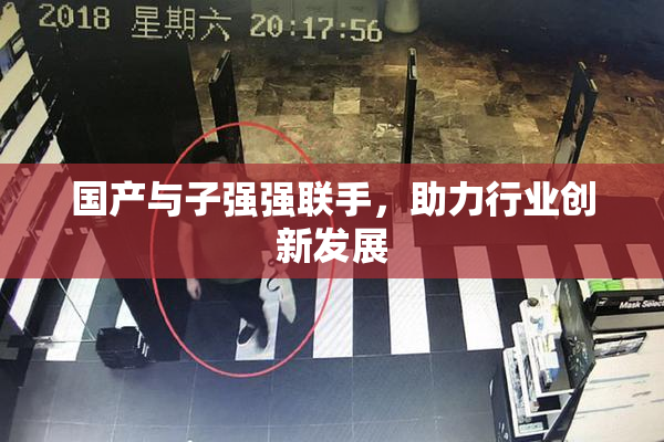 国产与子强强联手，助力行业创新发展