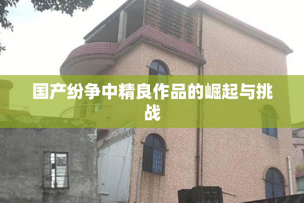 国产纷争中精良作品的崛起与挑战