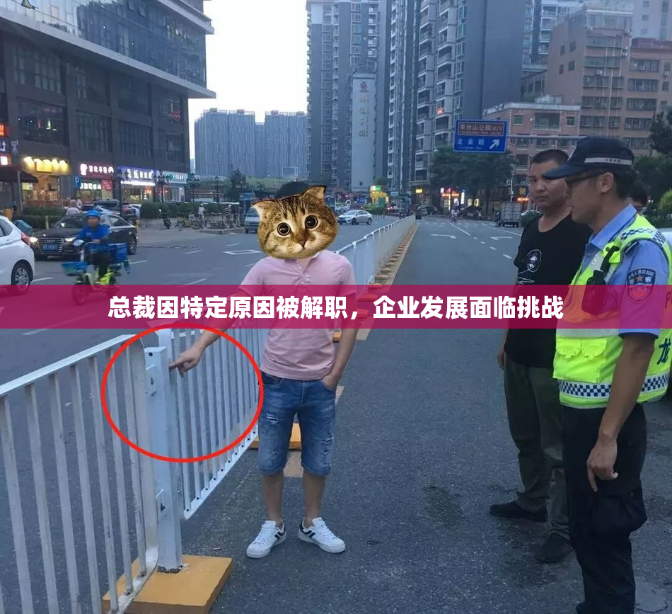 总裁因特定原因被解职，企业发展面临挑战