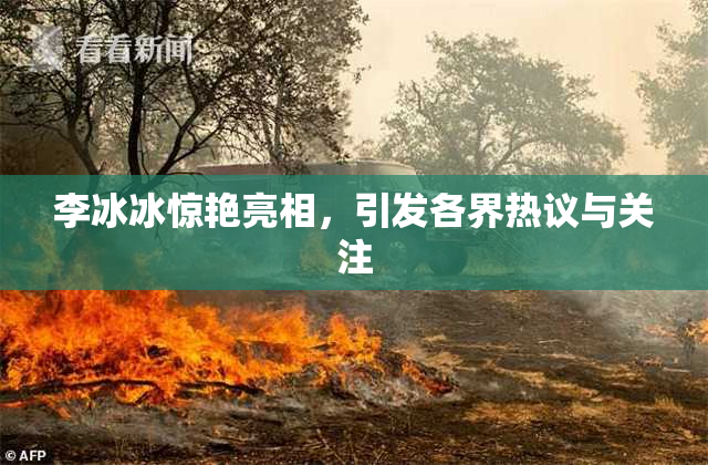 李冰冰惊艳亮相，引发各界热议与关注