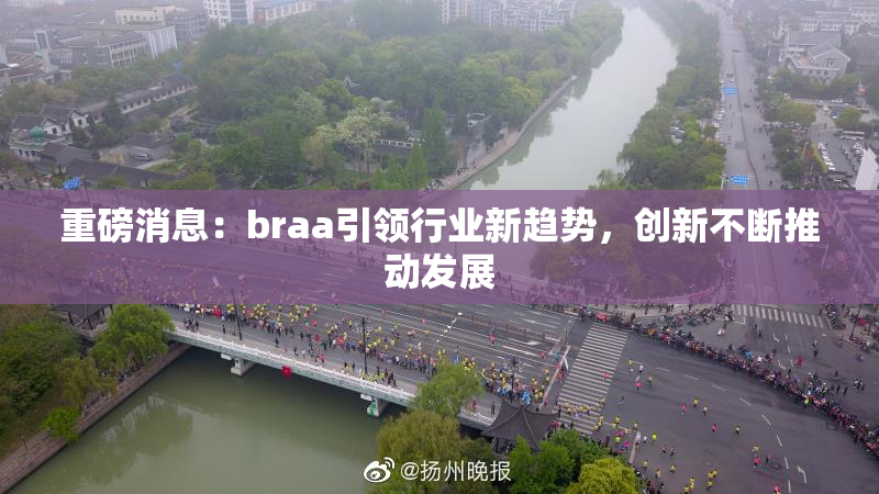重磅消息：braa引领行业新趋势，创新不断推动发展