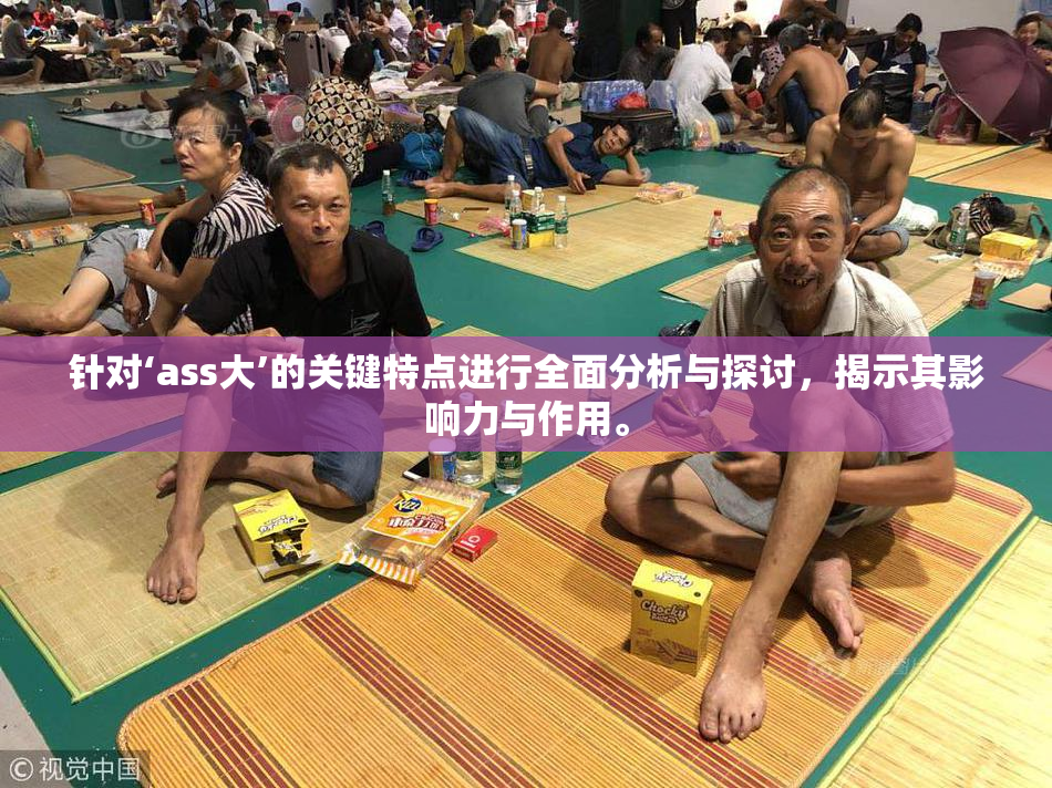 针对‘ass大’的关键特点进行全面分析与探讨，揭示其影响力与作用。