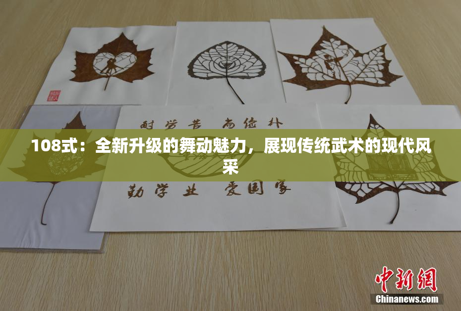 108式：全新升级的舞动魅力，展现传统武术的现代风采