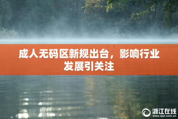 成人无码区新规出台，影响行业发展引关注