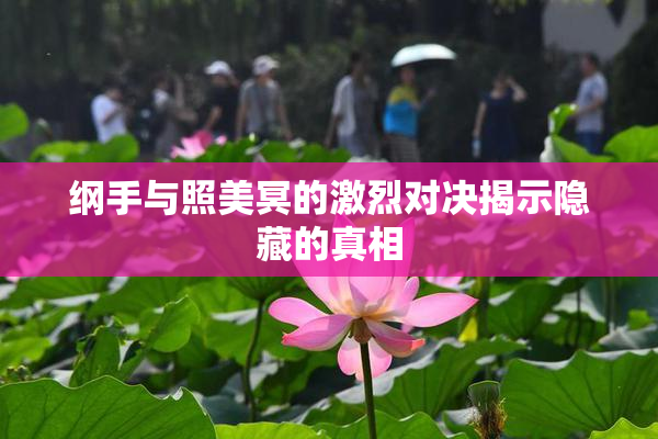 纲手与照美冥的激烈对决揭示隐藏的真相