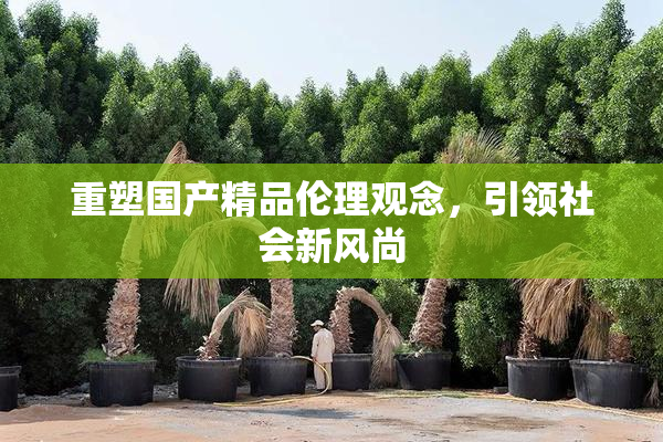 重塑国产精品伦理观念，引领社会新风尚