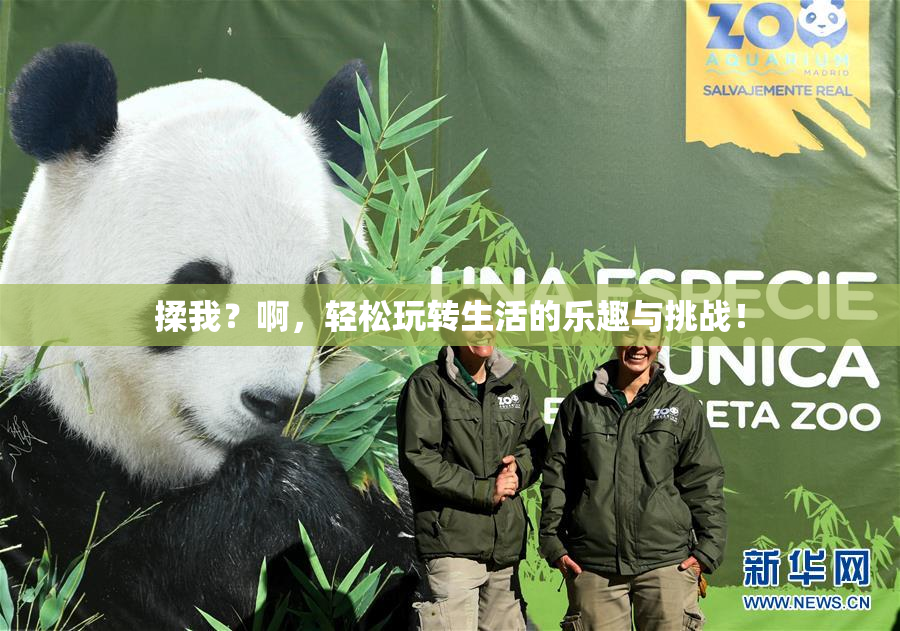 揉我？啊，轻松玩转生活的乐趣与挑战！