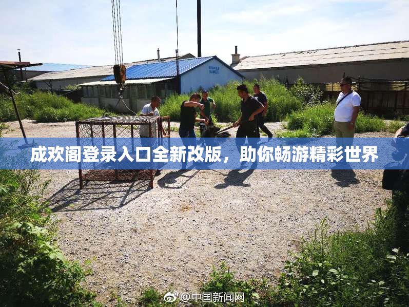 成欢阁登录入口全新改版，助你畅游精彩世界