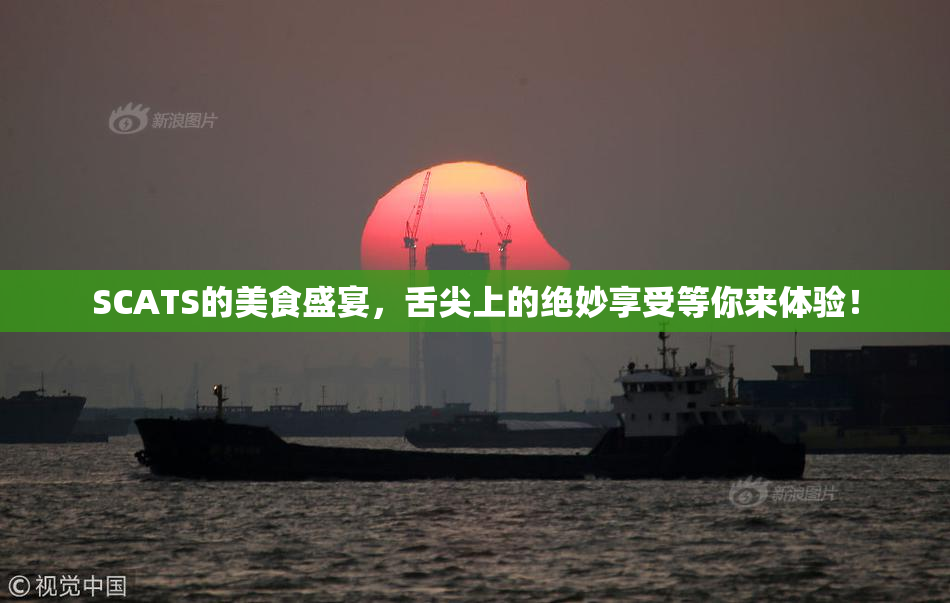 SCATS的美食盛宴，舌尖上的绝妙享受等你来体验！