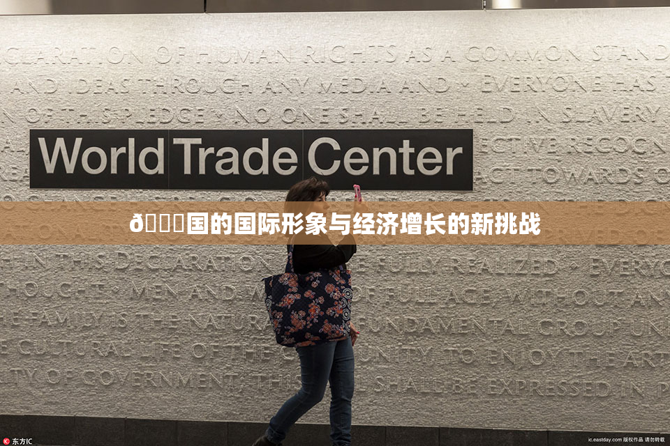 🔞国的国际形象与经济增长的新挑战