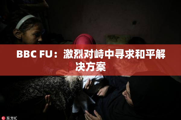 BBC FU：激烈对峙中寻求和平解决方案