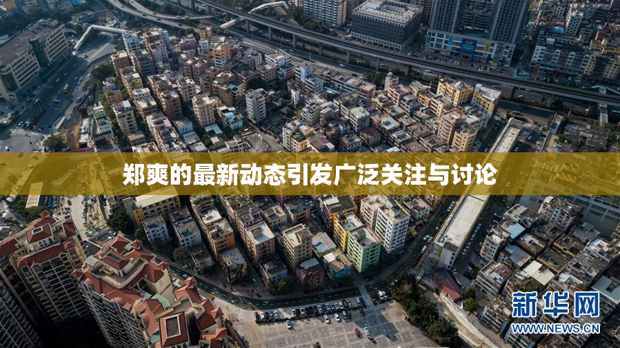 郑爽的最新动态引发广泛关注与讨论