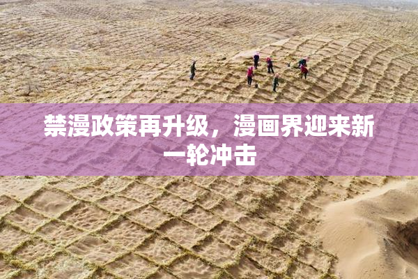 禁漫政策再升级，漫画界迎来新一轮冲击