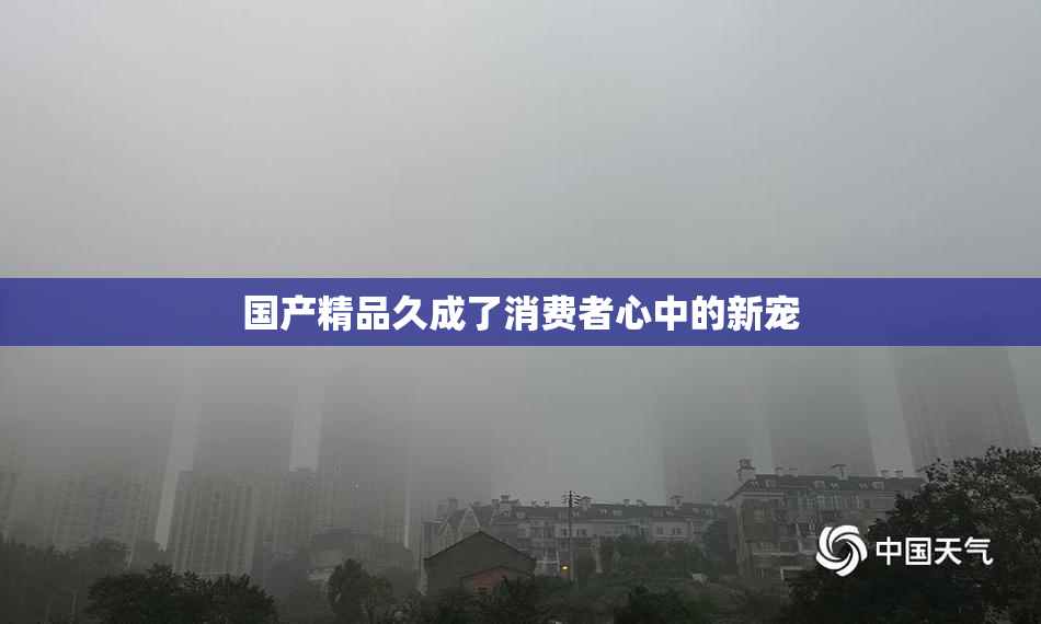国产精品久成了消费者心中的新宠