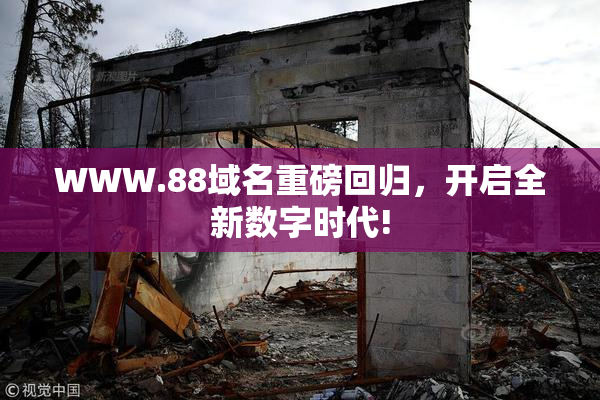 WWW.88域名重磅回归，开启全新数字时代!