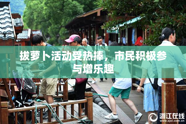 拔萝卜活动受热捧，市民积极参与增乐趣