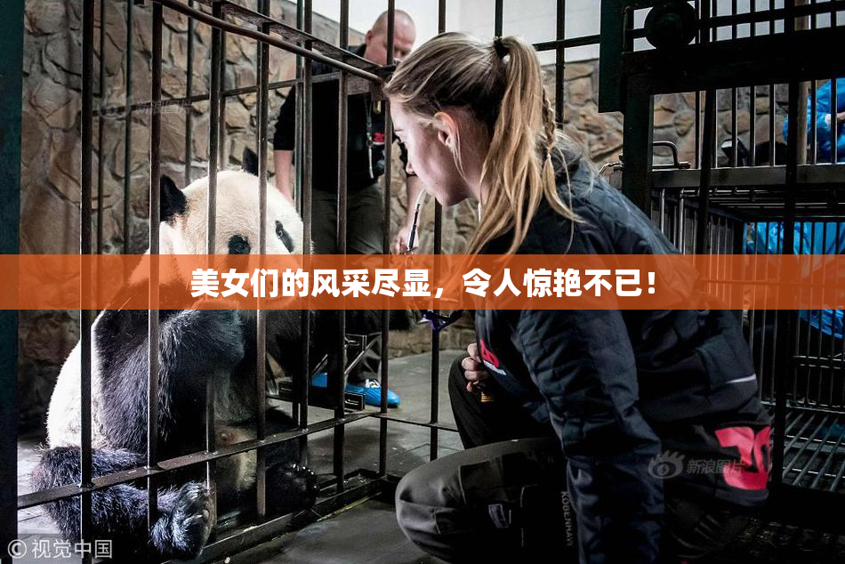 美女们的风采尽显，令人惊艳不已！