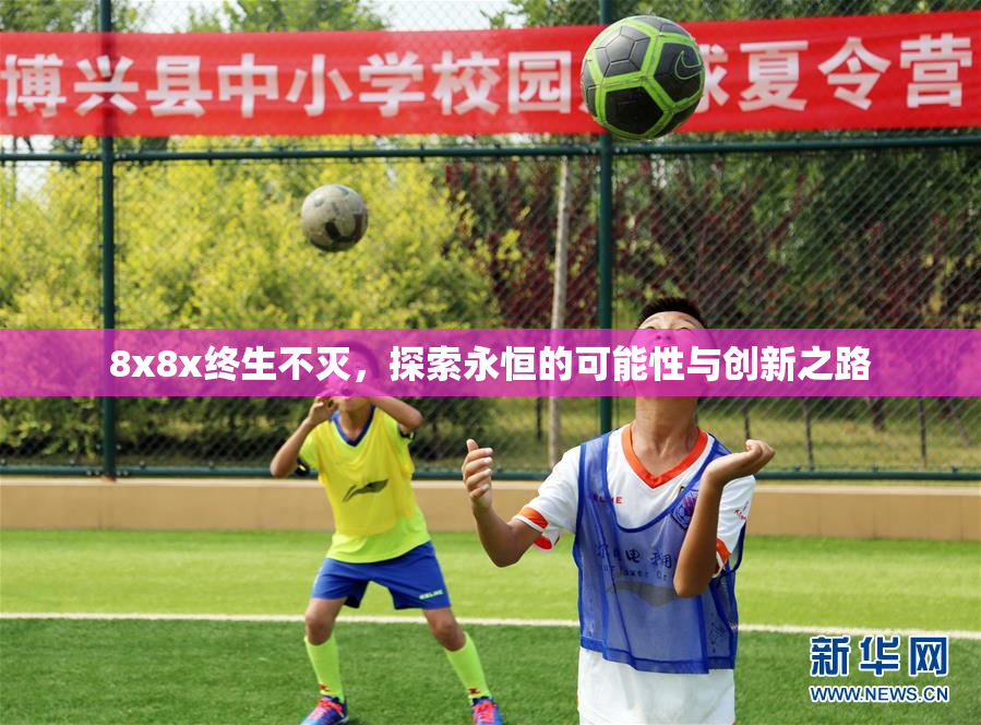 8x8x终生不灭，探索永恒的可能性与创新之路