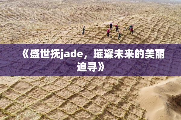 《盛世抚jade，璀璨未来的美丽追寻》