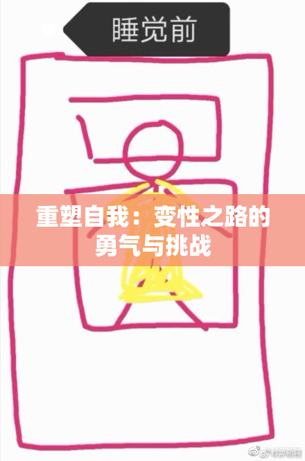 重塑自我：变性之路的勇气与挑战