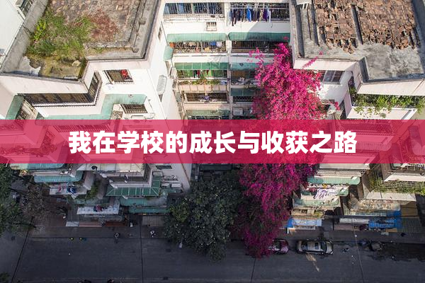 我在学校的成长与收获之路