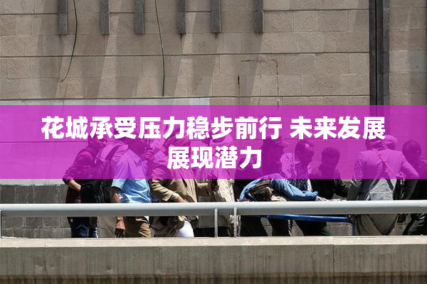 花城承受压力稳步前行 未来发展展现潜力