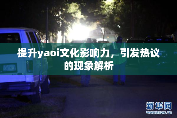 提升yaoi文化影响力，引发热议的现象解析