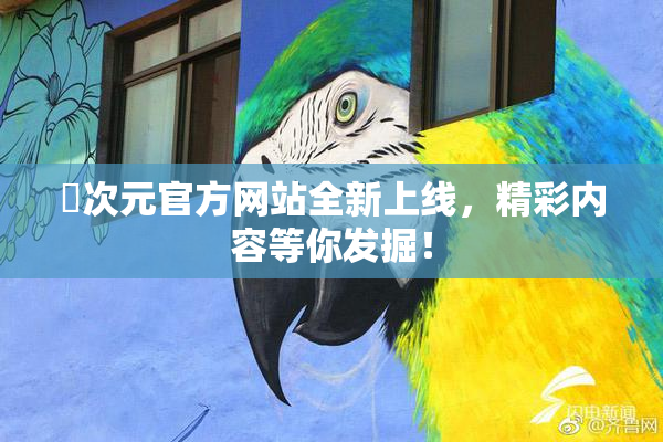 囧次元官方网站全新上线，精彩内容等你发掘！