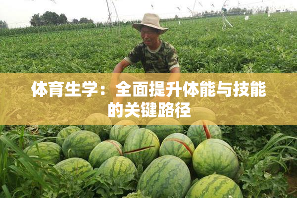 体育生学：全面提升体能与技能的关键路径