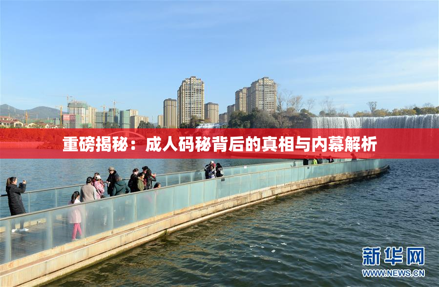 重磅揭秘：成人码秘背后的真相与内幕解析