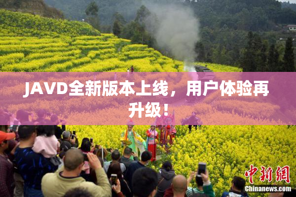 JAVD全新版本上线，用户体验再升级！