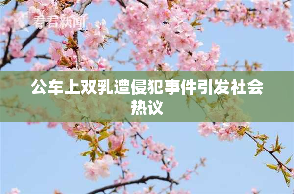 公车上双乳遭侵犯事件引发社会热议