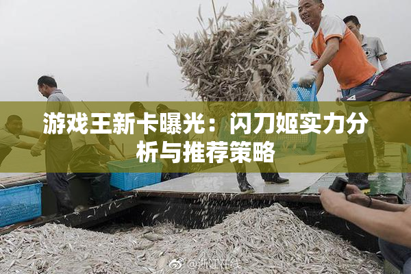 游戏王新卡曝光：闪刀姬实力分析与推荐策略