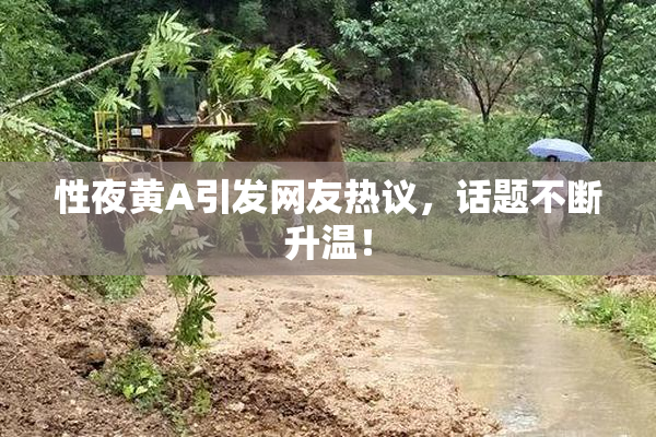 性夜黄A引发网友热议，话题不断升温！