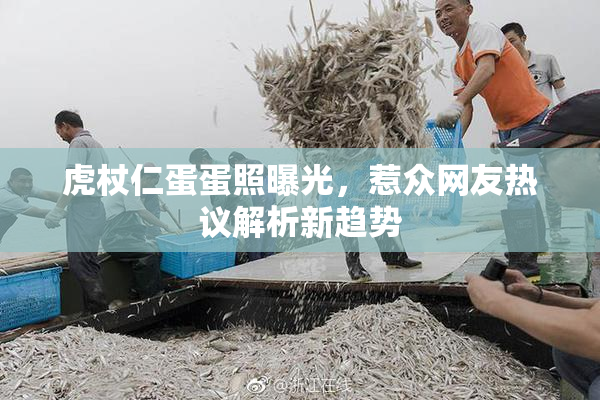 虎杖仁蛋蛋照曝光，惹众网友热议解析新趋势