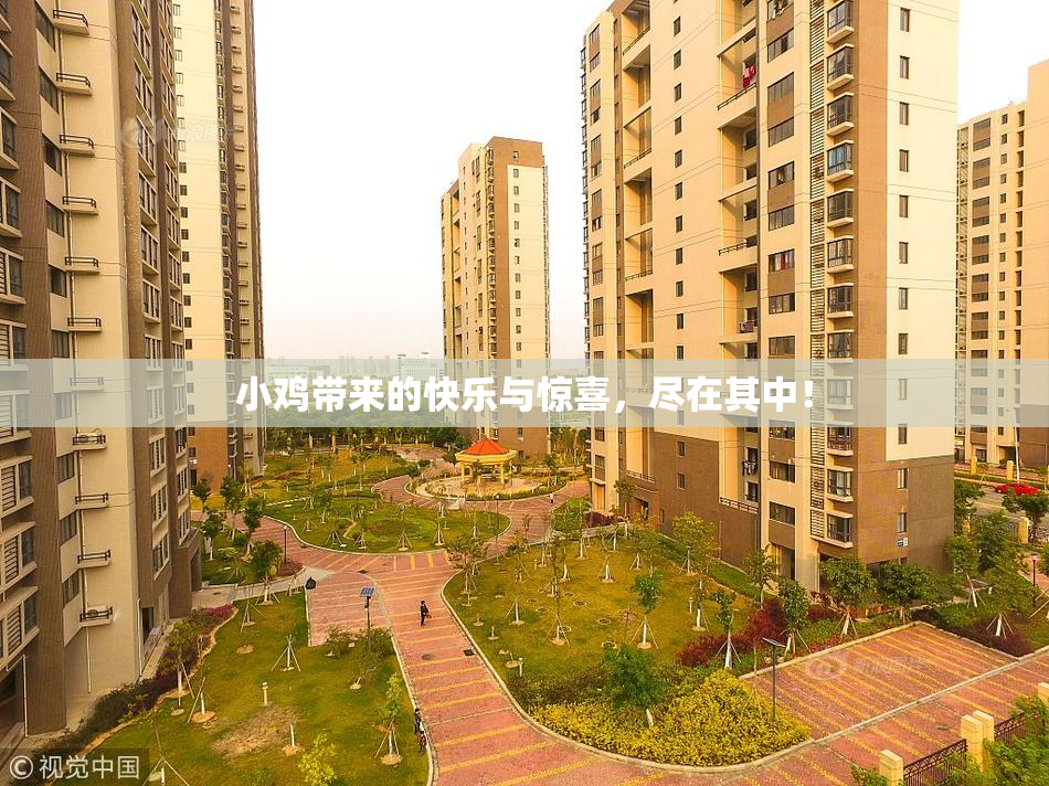 小鸡带来的快乐与惊喜，尽在其中！