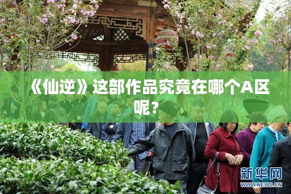《仙逆》这部作品究竟在哪个A区呢？