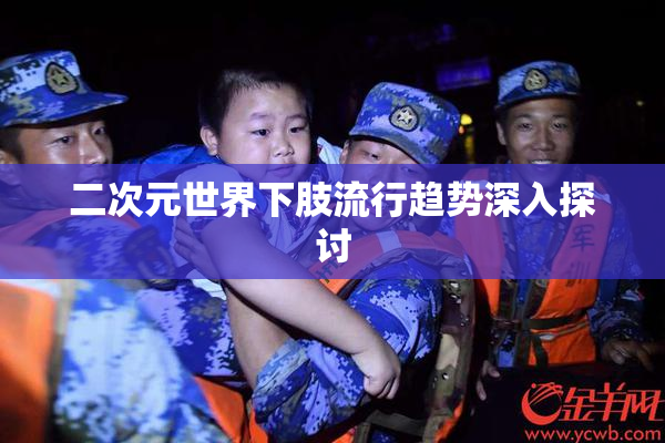 二次元世界下肢流行趋势深入探讨