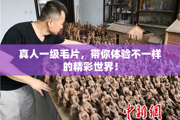 真人一级毛片，带你体验不一样的精彩世界！