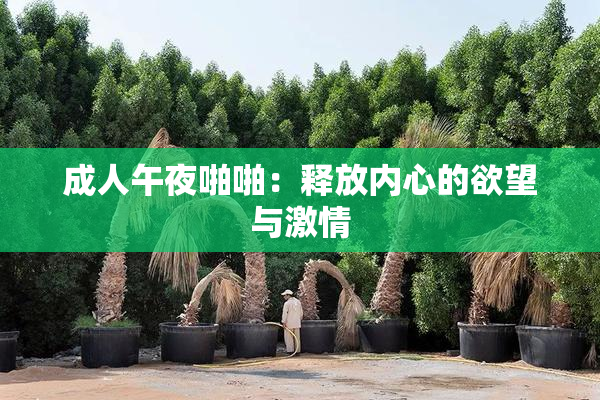 成人午夜啪啪：释放内心的欲望与激情