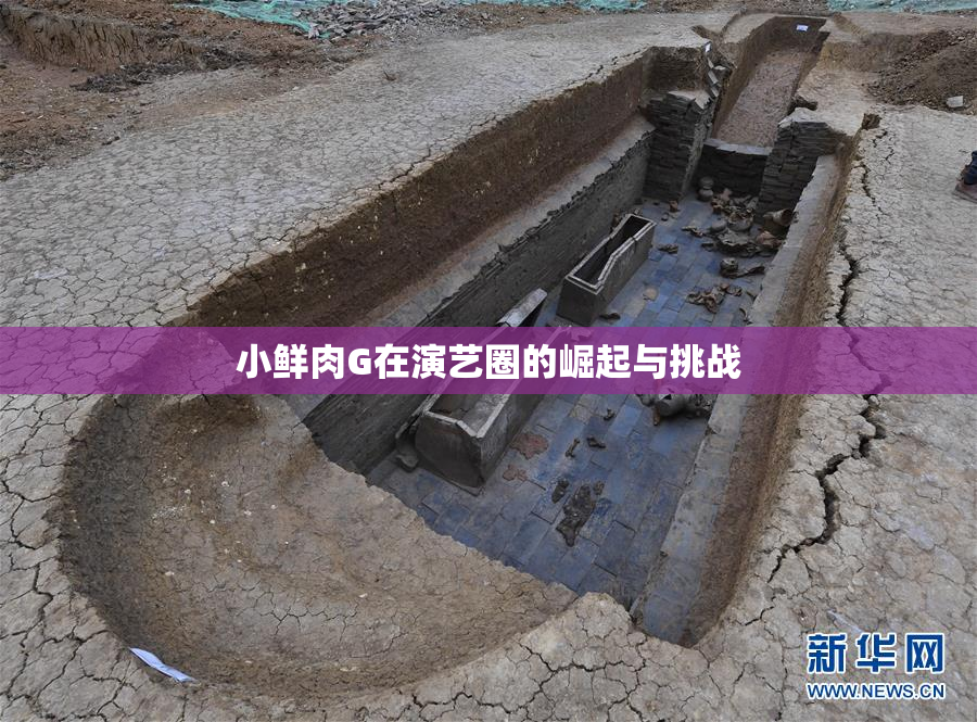 小鲜肉G在演艺圈的崛起与挑战