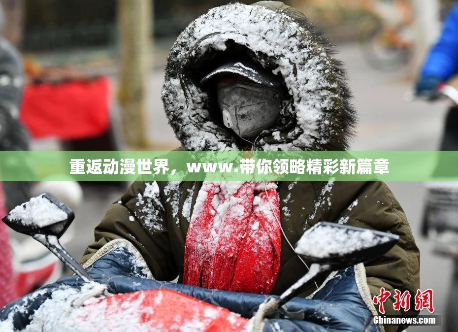 重返动漫世界，www.带你领略精彩新篇章