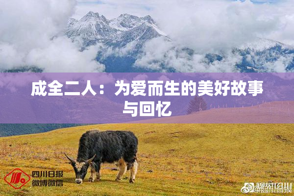 成全二人：为爱而生的美好故事与回忆