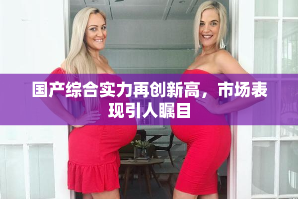 国产综合实力再创新高，市场表现引人瞩目