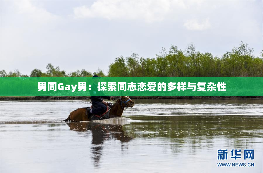 男同Gay男：探索同志恋爱的多样与复杂性